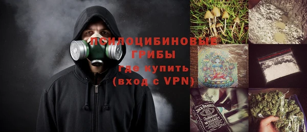 СК Михайлов