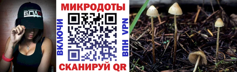 Псилоцибиновые грибы прущие грибы  даркнет сайт  Шацк 
